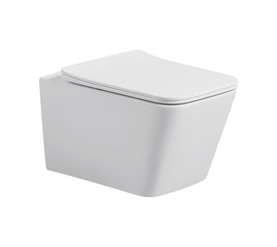 wall hung toilet cb.16.0024