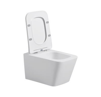 wall hung toilet cb.16.0024