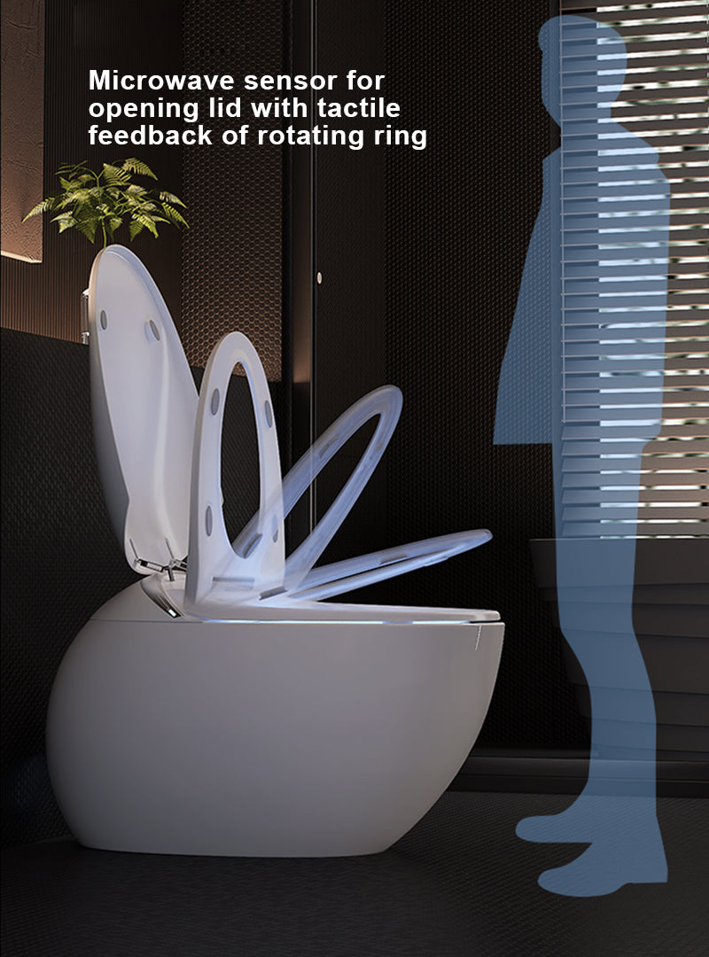 smart toilet CB.10.0068