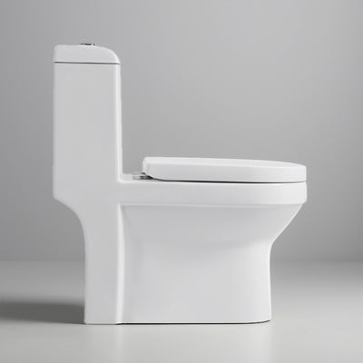one piece toilet cb.12.0008