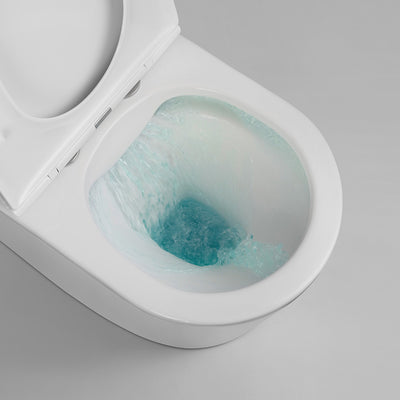 one piece toilet cb.12.0057