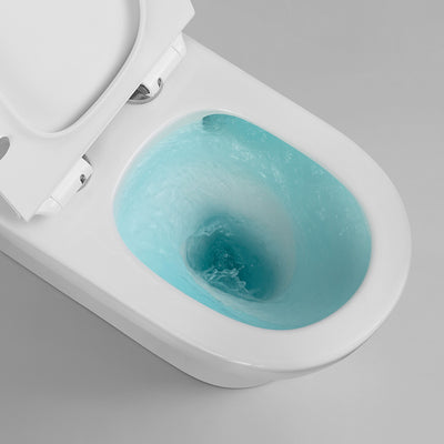 one piece toilet cb.12.0171
