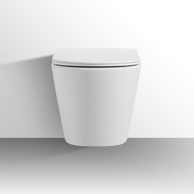 wall hung toilet cb.16.0091