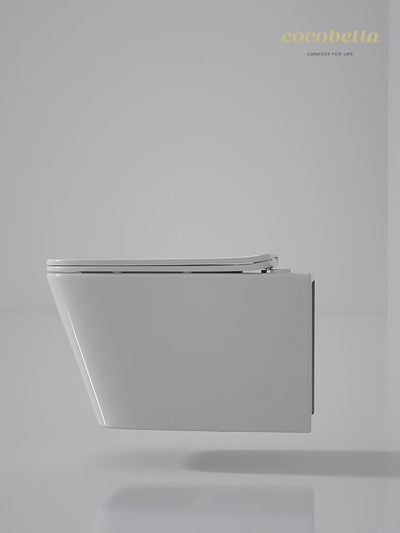 wall hung toilet cb.16.0024