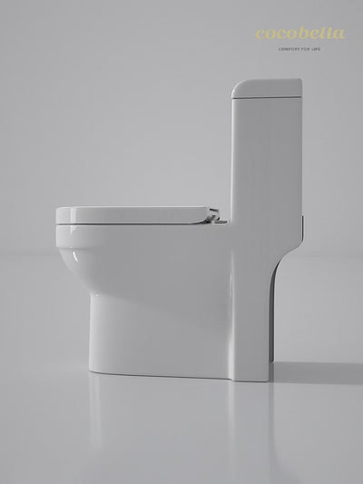 one piece toilet cb.12.0008