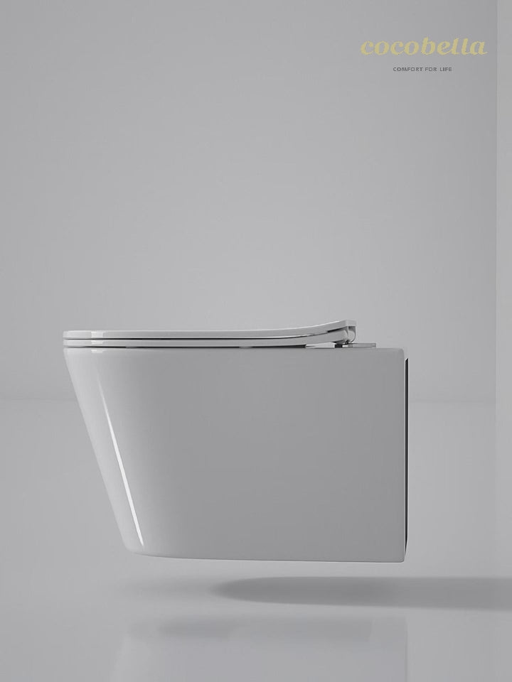 wall hung toilet cb.16.0091