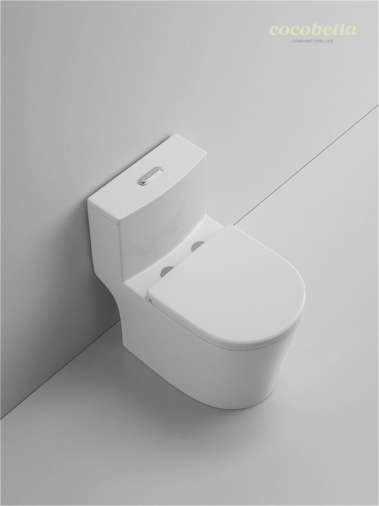 one piece toilet cb.12.0057