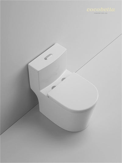 one piece toilet cb.12.0057